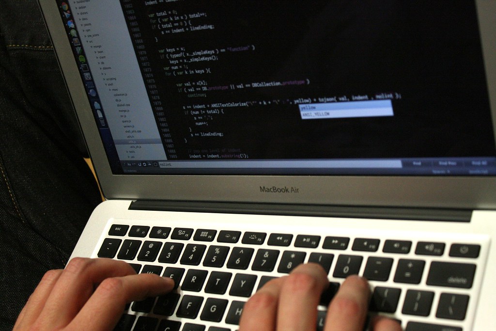 Programming Software Landscape (Scanners)